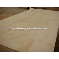 Birch Plywood Sheets